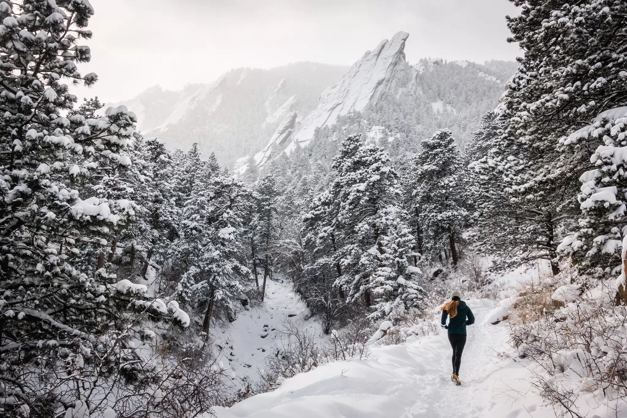 A runner travels through a snowy forest on a trail: Chautauqua, Colorado