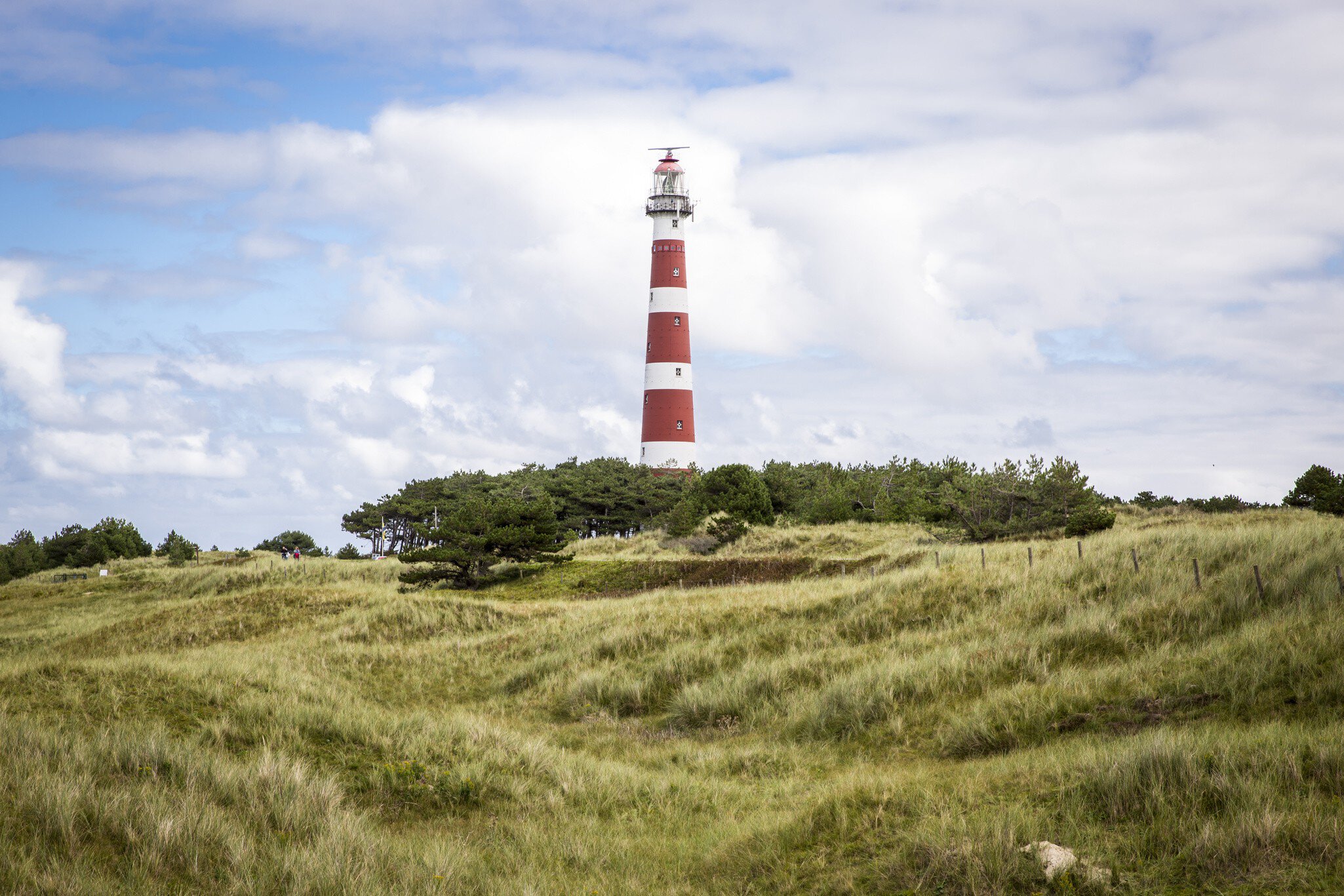 view of the Ameland Lighthouse, known as Bornrif, is a lighthouse on the Dutch island Ameland, one of the Frisian Islands, on the edge of the North Sea, The Netherlands
331097798
coastal, navigate, coast, historical, shore, nobody, netherlands, seaside, lamp, travel, lighthouse, stripped, landmark, symbol, grass, frontal, beacon, northern, guidance, iconic, safety, high, architecture, plant, maritime, dutch, scenic, sea, danger, nature, coastline, large, navigation, construction, europe, warning, facade, landscape, hollum, friesland, bornrif, island, tower, holland, white, north, view, red, european, dune, sand, woods, building, tall, front, pine, stripes, beachgrass, ameland, exterior