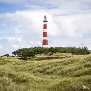 view of the Ameland Lighthouse, known as Bornrif, is a lighthouse on the Dutch island Ameland, one of the Frisian Islands, on the edge of the North Sea, The Netherlands
331097798
coastal, navigate, coast, historical, shore, nobody, netherlands, seaside, lamp, travel, lighthouse, stripped, landmark, symbol, grass, frontal, beacon, northern, guidance, iconic, safety, high, architecture, plant, maritime, dutch, scenic, sea, danger, nature, coastline, large, navigation, construction, europe, warning, facade, landscape, hollum, friesland, bornrif, island, tower, holland, white, north, view, red, european, dune, sand, woods, building, tall, front, pine, stripes, beachgrass, ameland, exterior