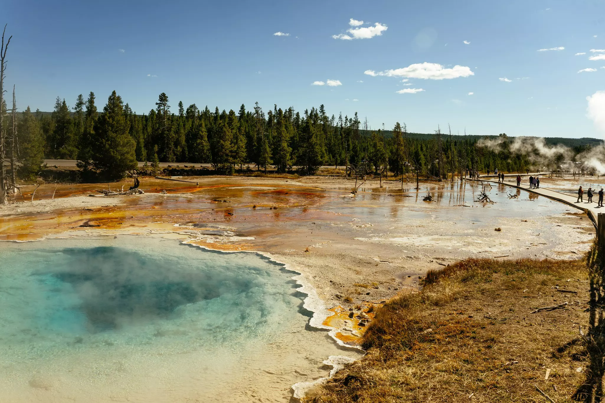 People follow a boardwalk through a hot spring area with steam rising from the ground