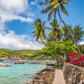 The harbor in Bequia lined with palm trees. Nancy Pauwels/Shutterstock