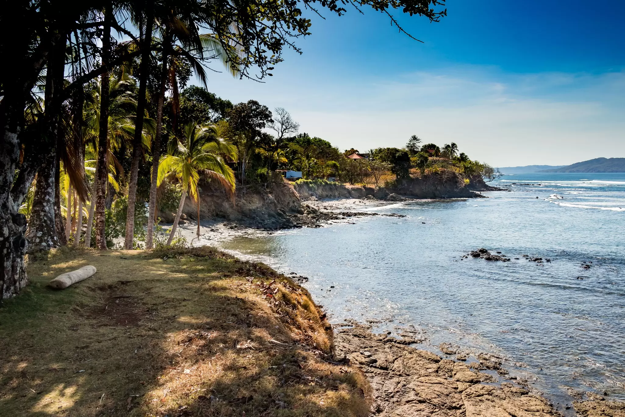 Palm trees and a grassy bluff above a rocky cove, with calm blue sea stretching along the Santa Catalina coast in Panama.