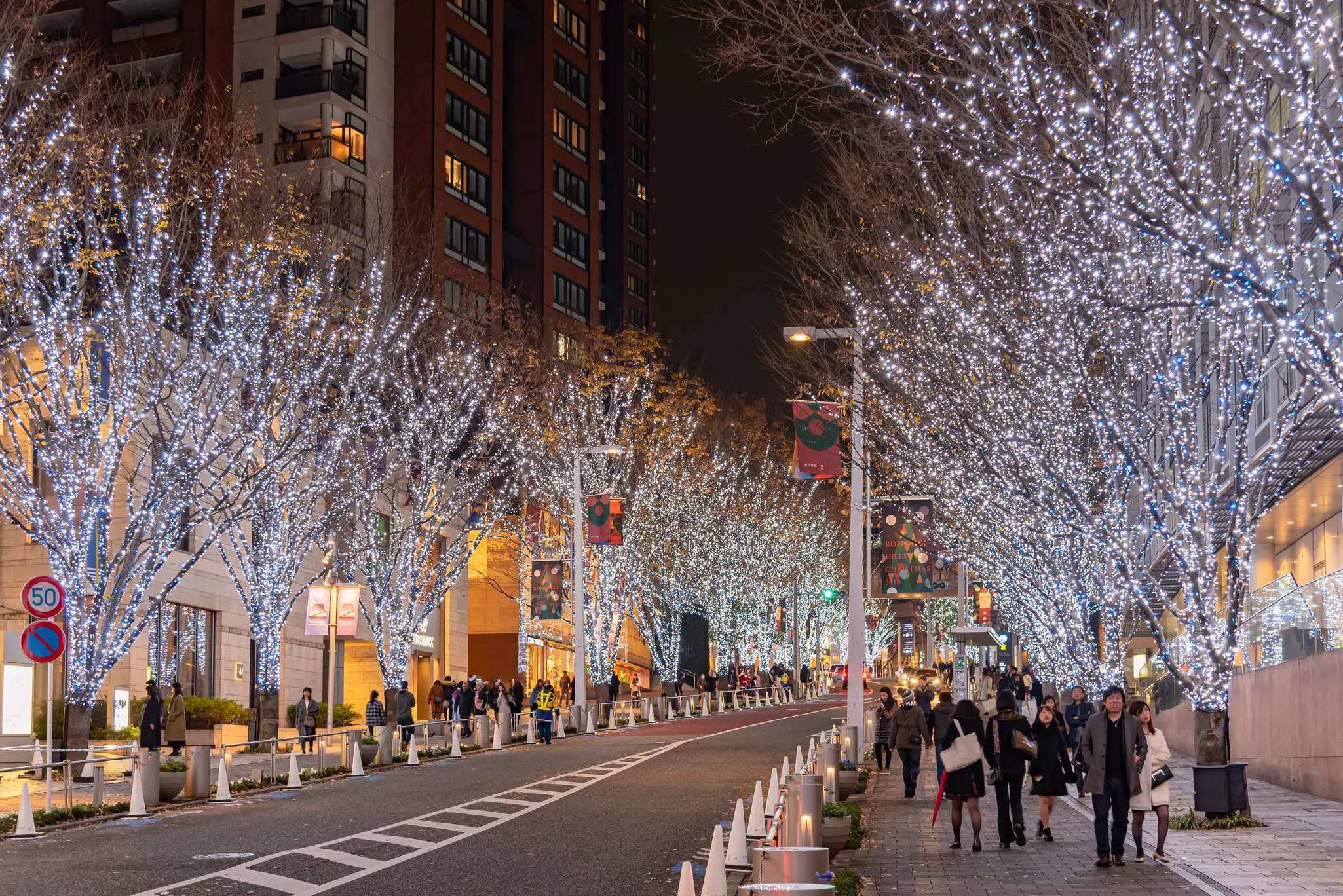 Trees lit up for the winter festival in Roppongi Hills, Tokyo, Japan.