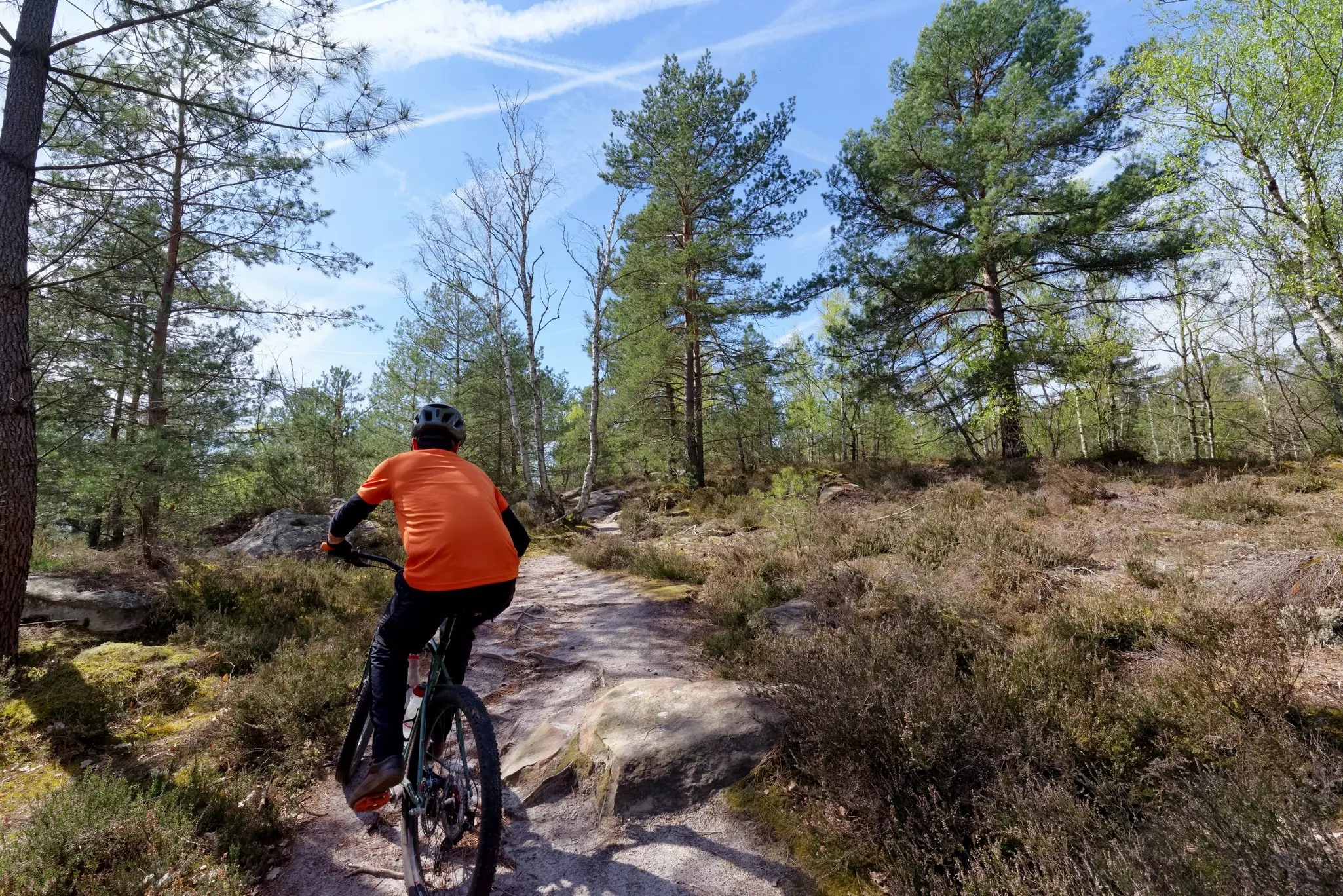 A cyclist powers along a rocky path in woodland.