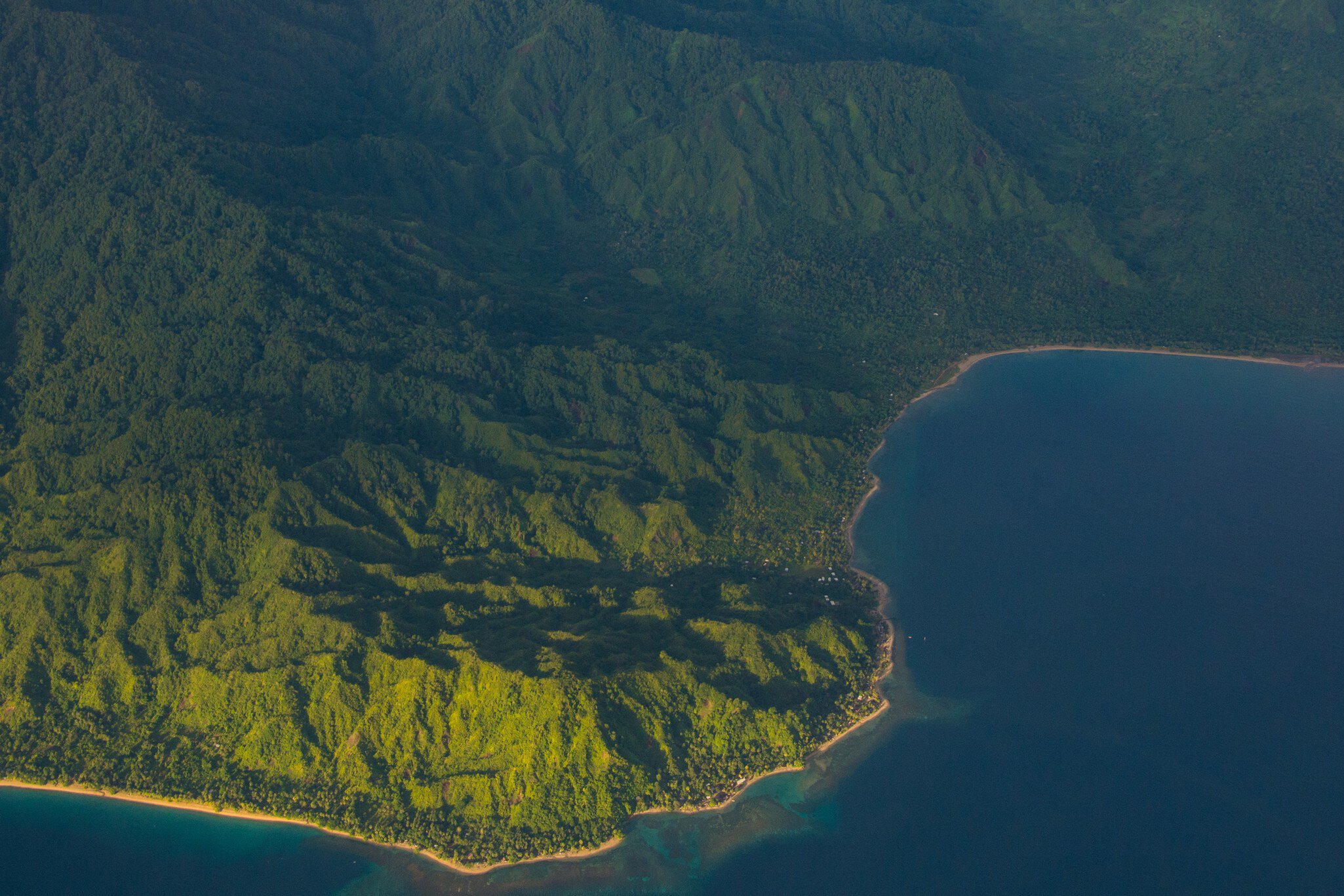 Aerial of jungle coastline.