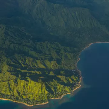 Aerial of jungle coastline.