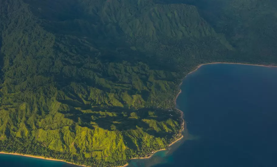 Aerial of jungle coastline.