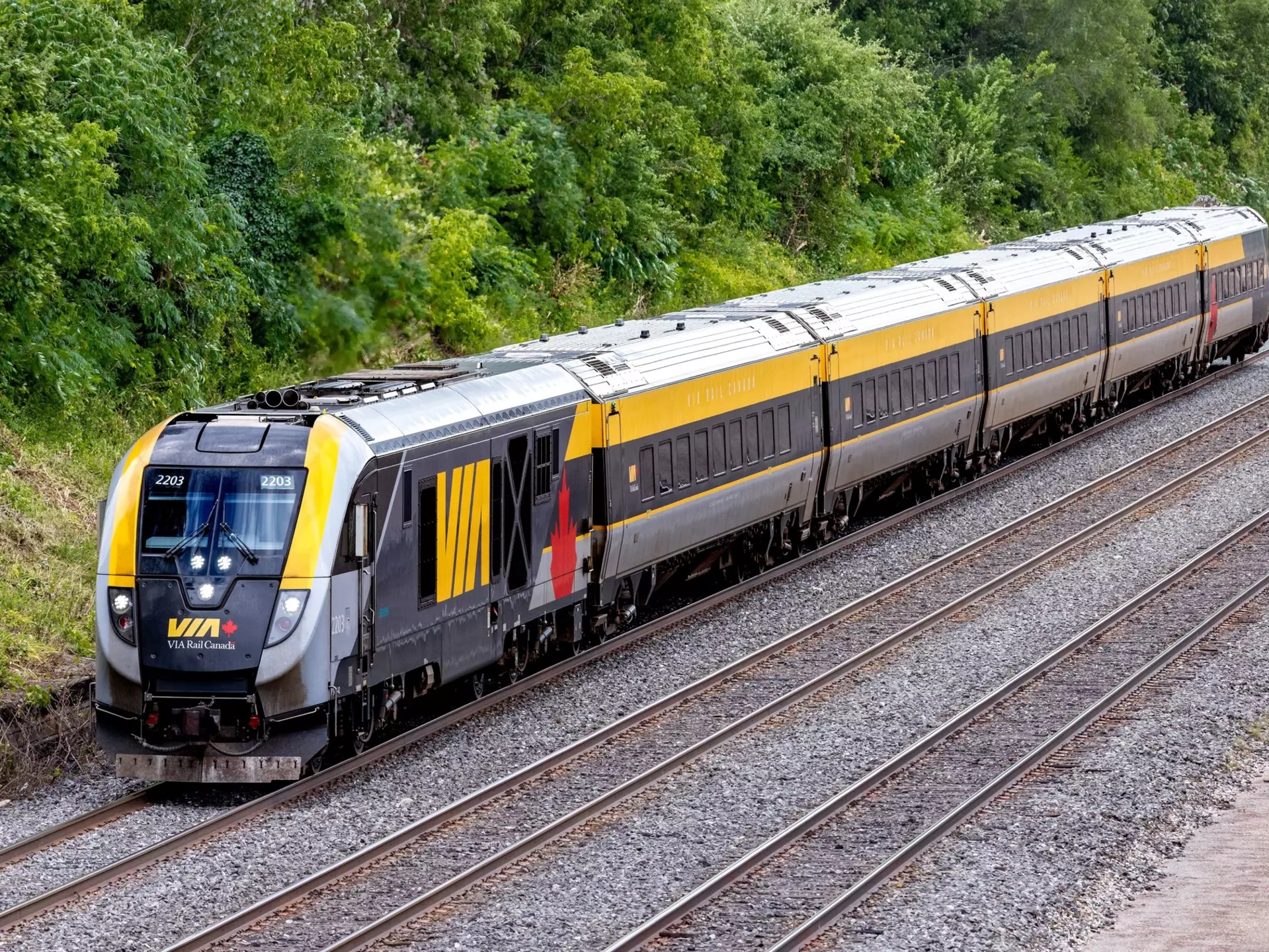 Toronto Canada, August 20, 2024; A full train view of a Via Rail sleek modern Siemens train set passing by a green forest area., License Type: media, Download Time: 2025-12-02T17:28:21.000Z, User: mvm_lonelyplanet, Editorial: true, purchase_order: 56530 - Guidebooks, job: Experience Canada 1, client: Global Publishing-WIP, other: Virginia Moreno
