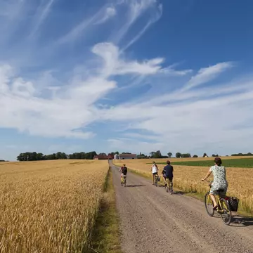 August 6, 2015: Group of cyclists riding on a rural dirt road on the island of Ven.
354515390
outdoor, island, adventure, meadow, leisure, cyclist, ride, holiday, active, cornfield, fitness, bike, countryside, sweden, cycle, family, recreation, healthy, person, rural, scenic, tourism, biking, health, exercise, nature, bicycle, vacation, sport, landscape, ven, hven