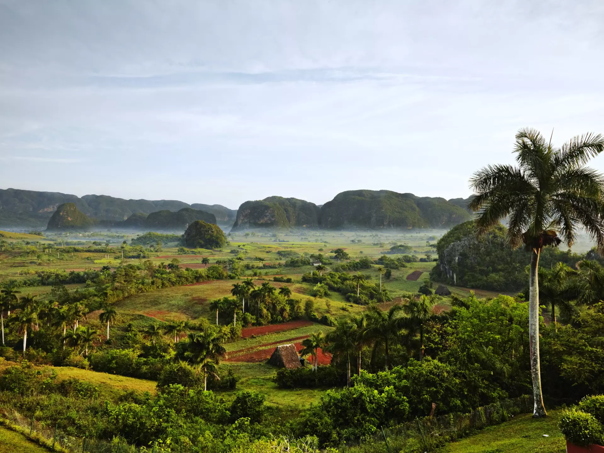 The hills in the valley in Vinales in Cuba