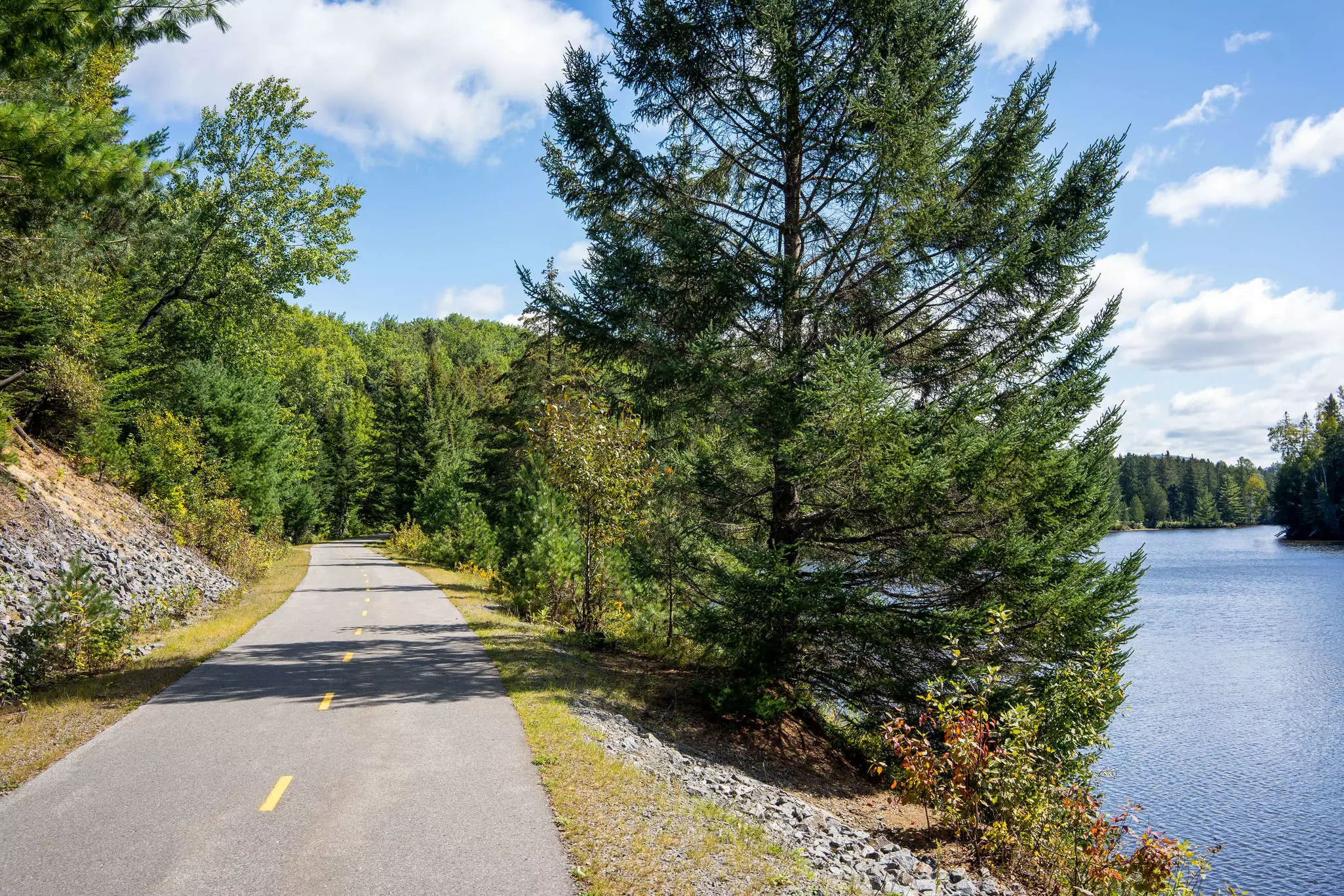 A paved portion of Route Verte in Quebec, with green trees and waterfront