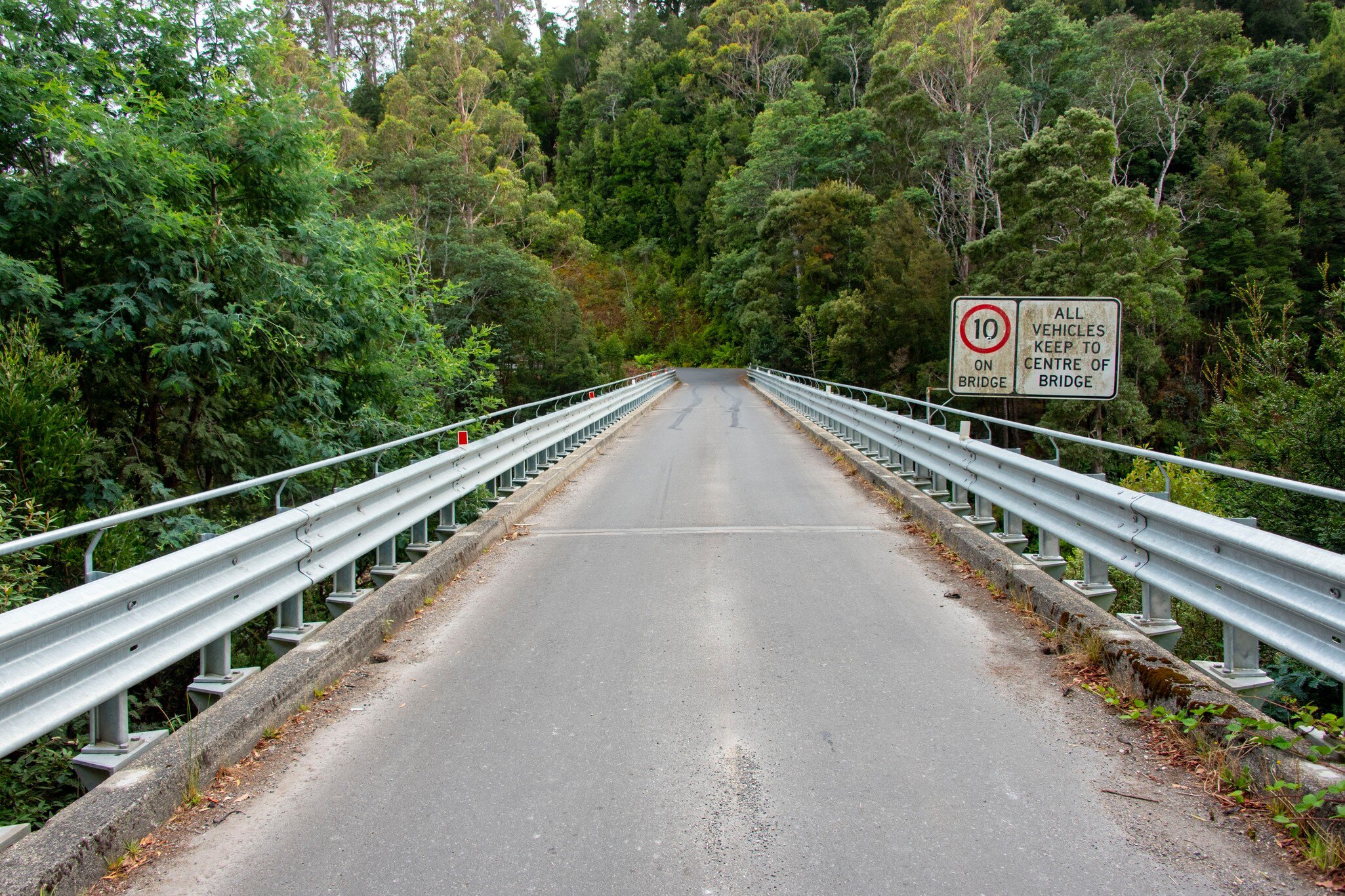 Kanunnah Bridge in Tarkine Wilderness, Tasmania, Australia.
