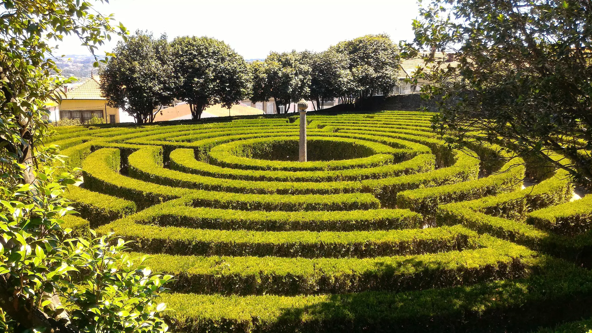 A labyrinth formed by hedges is pictured from above in a city park.