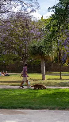 Threaded through the plants are running routes and bike paths.