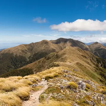 Ridge between Jumbo and Mount Holdsworth, Holdsworth Jumbo Circuit, Tararua Range