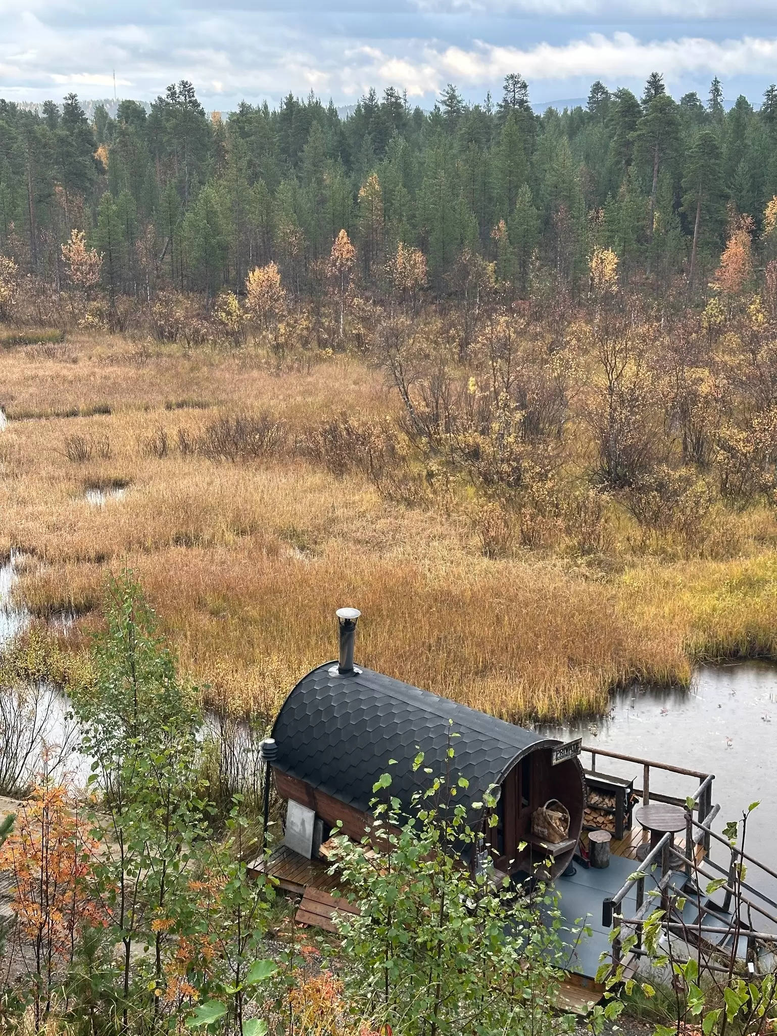 A view of the woodland around Aurora Village in Ivalo, Finnish Lapland.