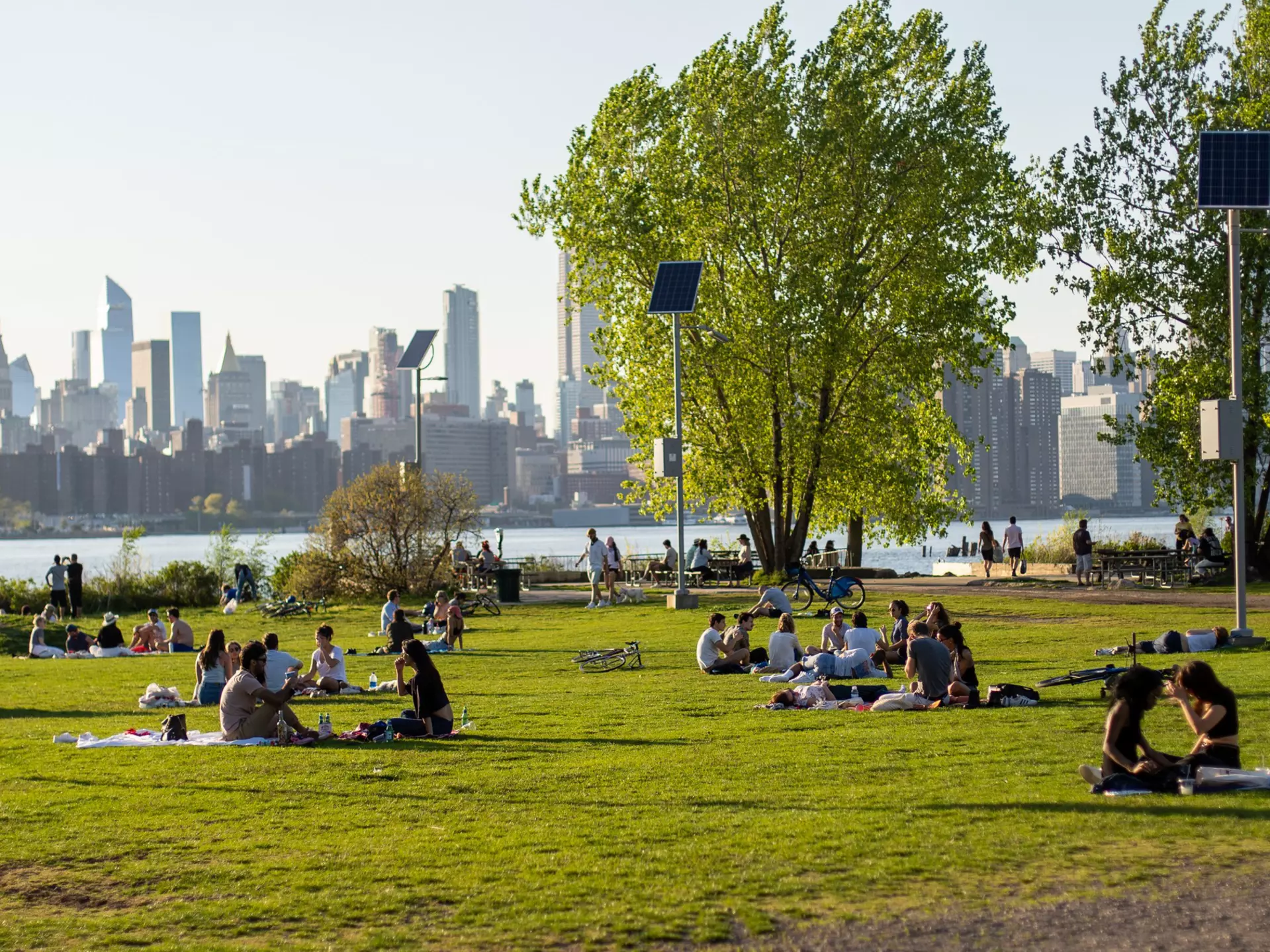 Williamsburg Domino Park in Brooklyn. Shutterstock/Anna Kristiana Dave