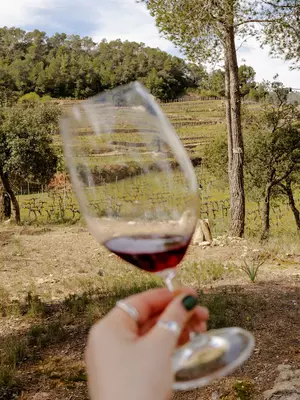 Northern Spain with LP Journeys, March 2026
Day 3: Priorat
Wine tasting and lunch at Vinyes Doménech, a family run vineyard in Capçanes, Priorat.