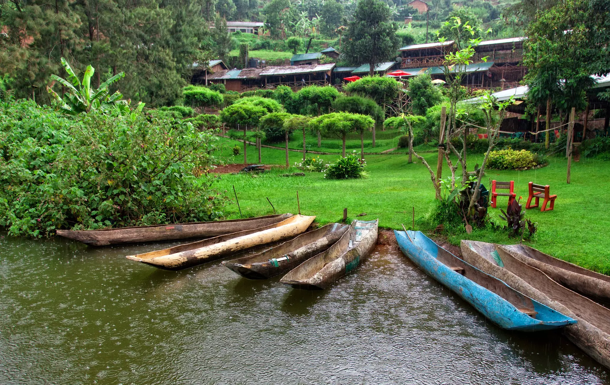Long boats on the grassy shore of a lake
