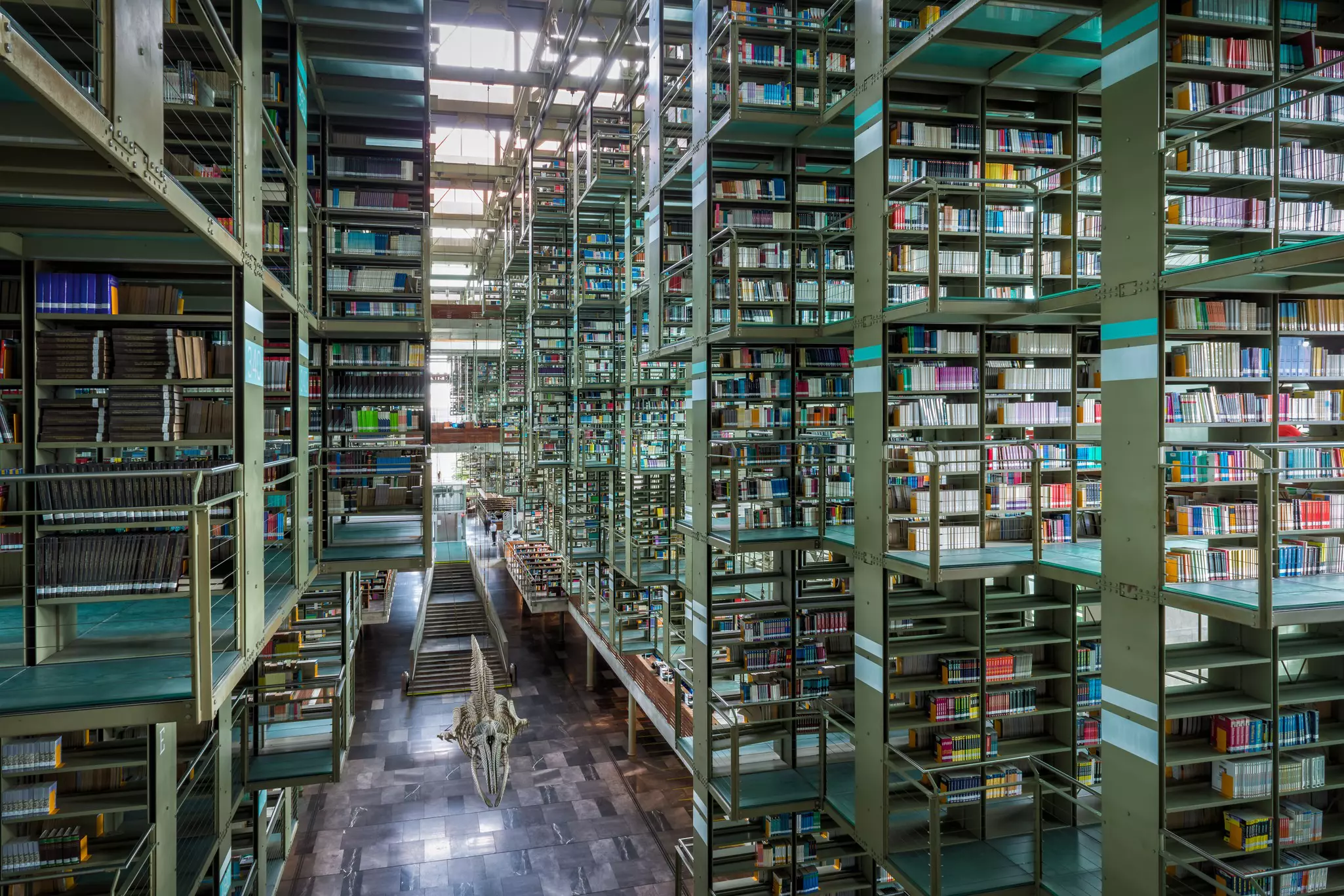 Steel bookshelves at Biblioteca Vasconcelos