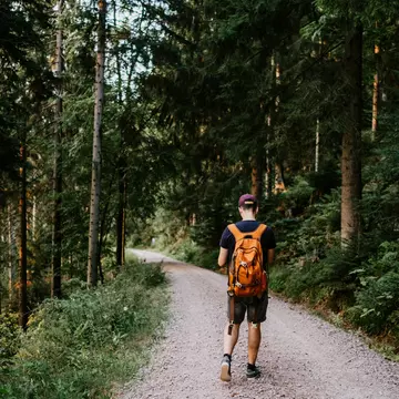 A man with an orange backpack hikes along a gravel road in a forest.