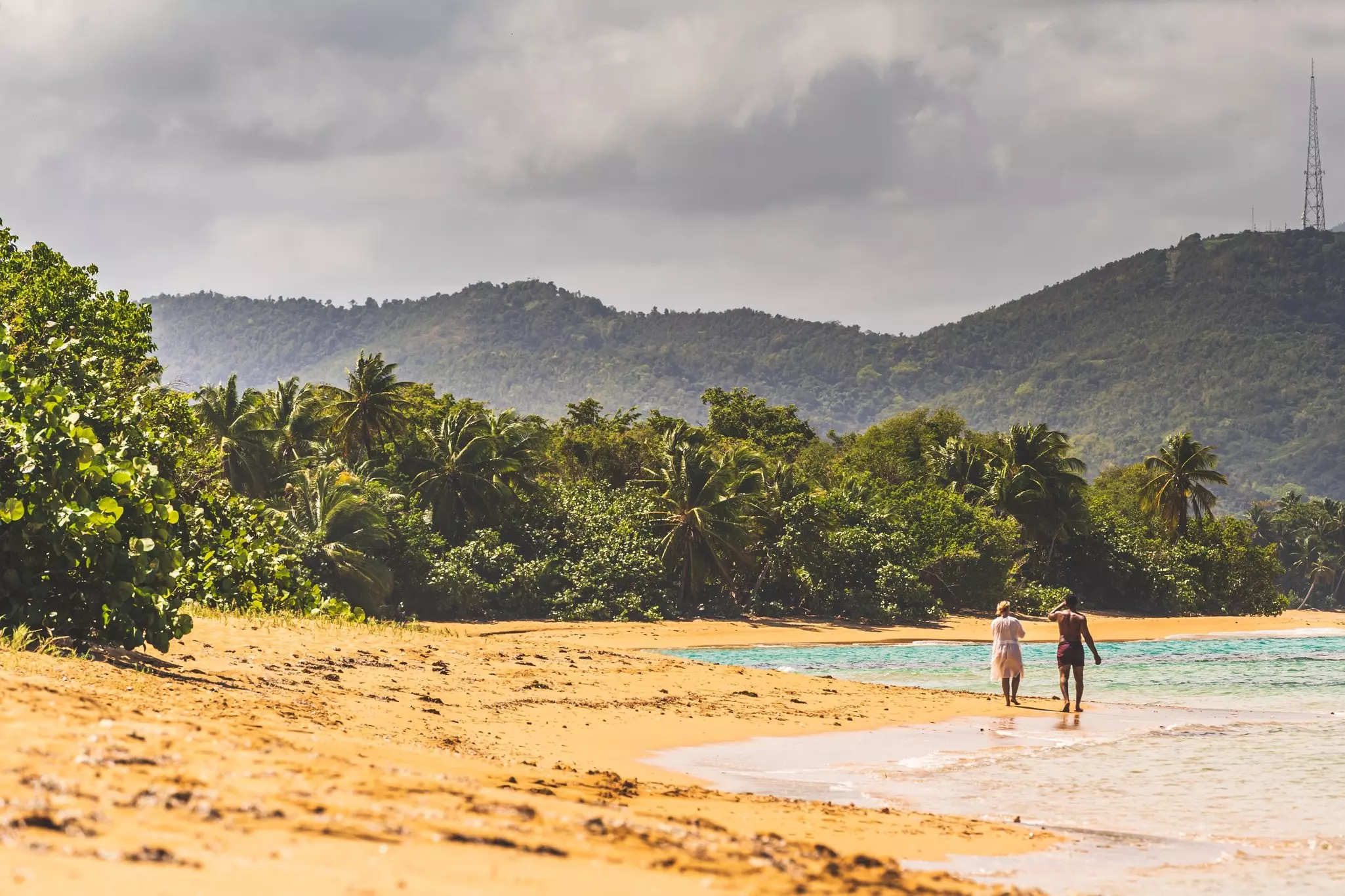 Two people walking on the beach with jungle behind