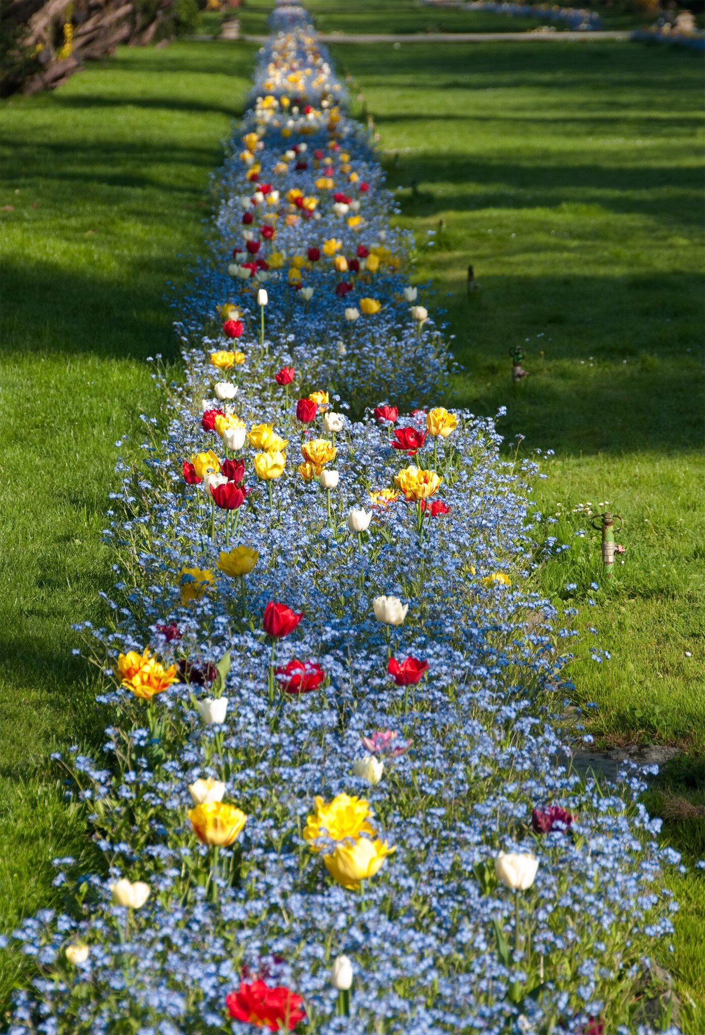 Colorful Garden