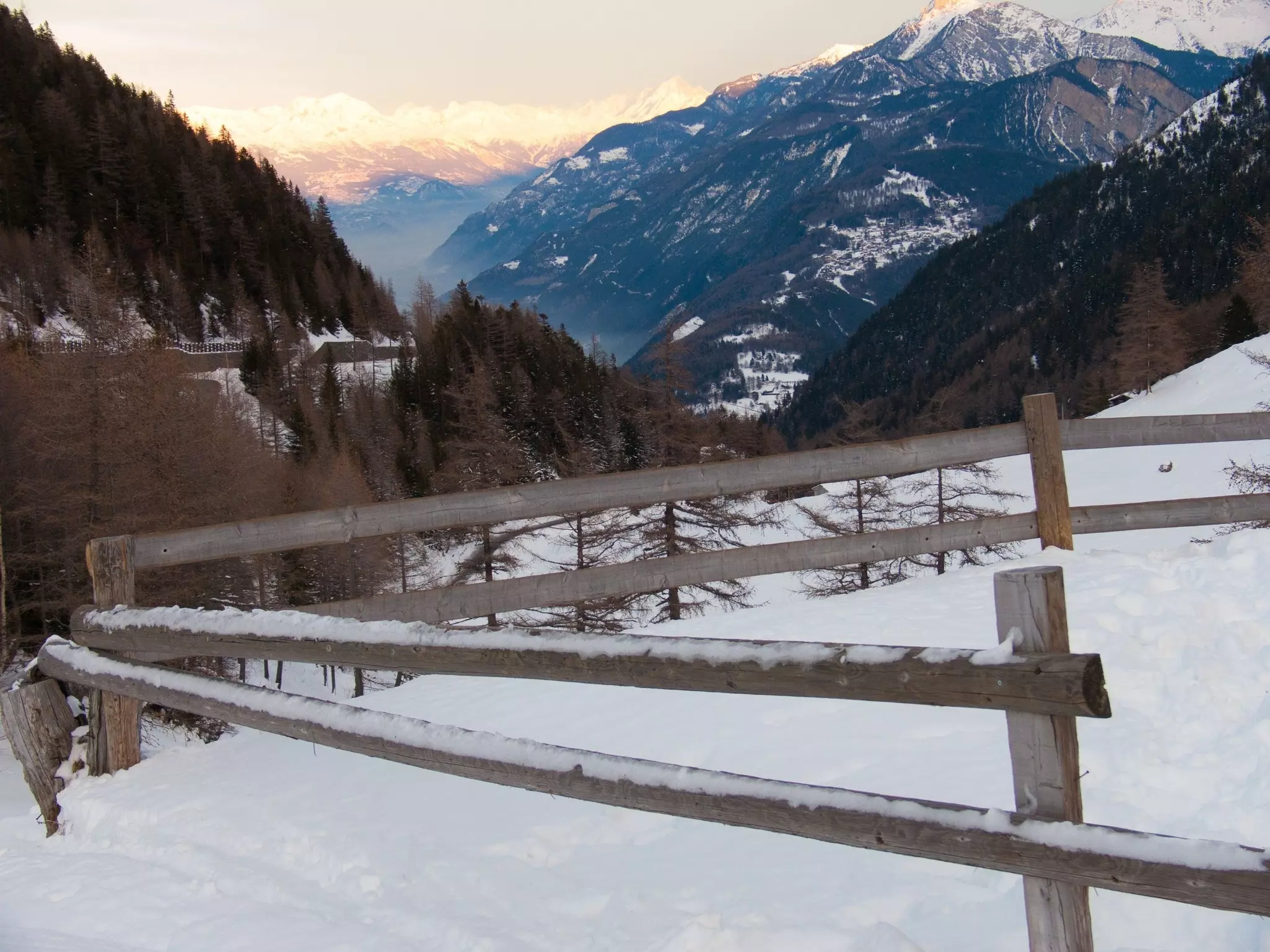 A wooden fence is dusted with snow, with pine forests and snowy peaks visible in the distance.