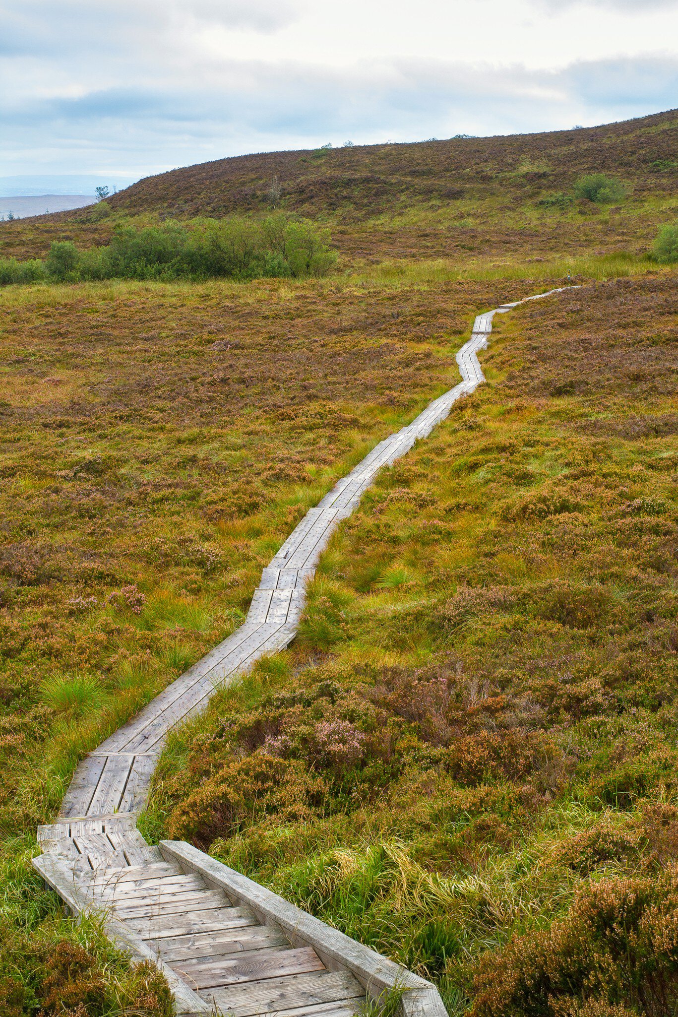 A wooden boardwalk through Slieve Bloom Mountains in County Laois, Ireland .
