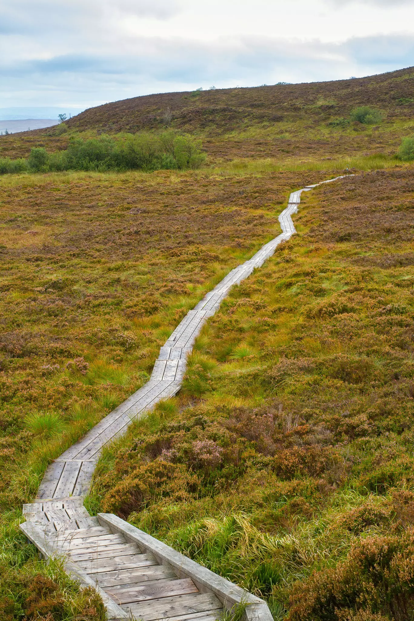 A wooden boardwalk through Slieve Bloom Mountains in County Laois, Ireland . 