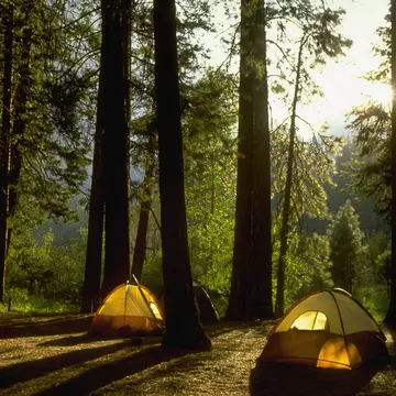 Camping in Yosemite Woods
