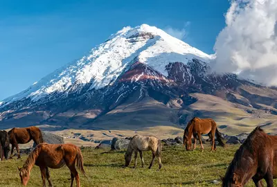 Jonatas Neiva/Shutterstock
