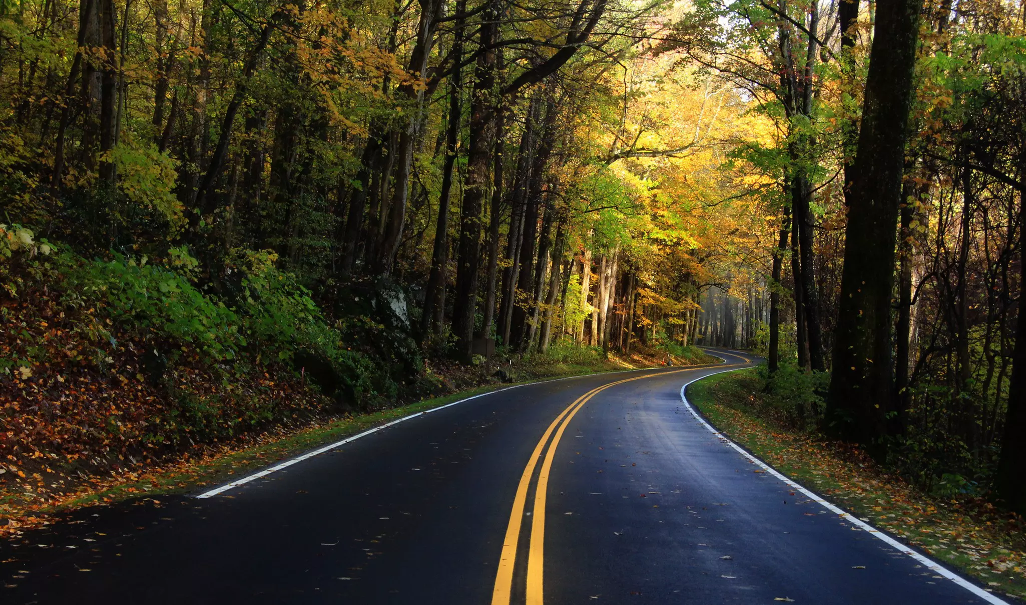 500px Photo ID: 128513423 - US 441 aka the NewFound Gap in the Great Smoky Mountain national Park