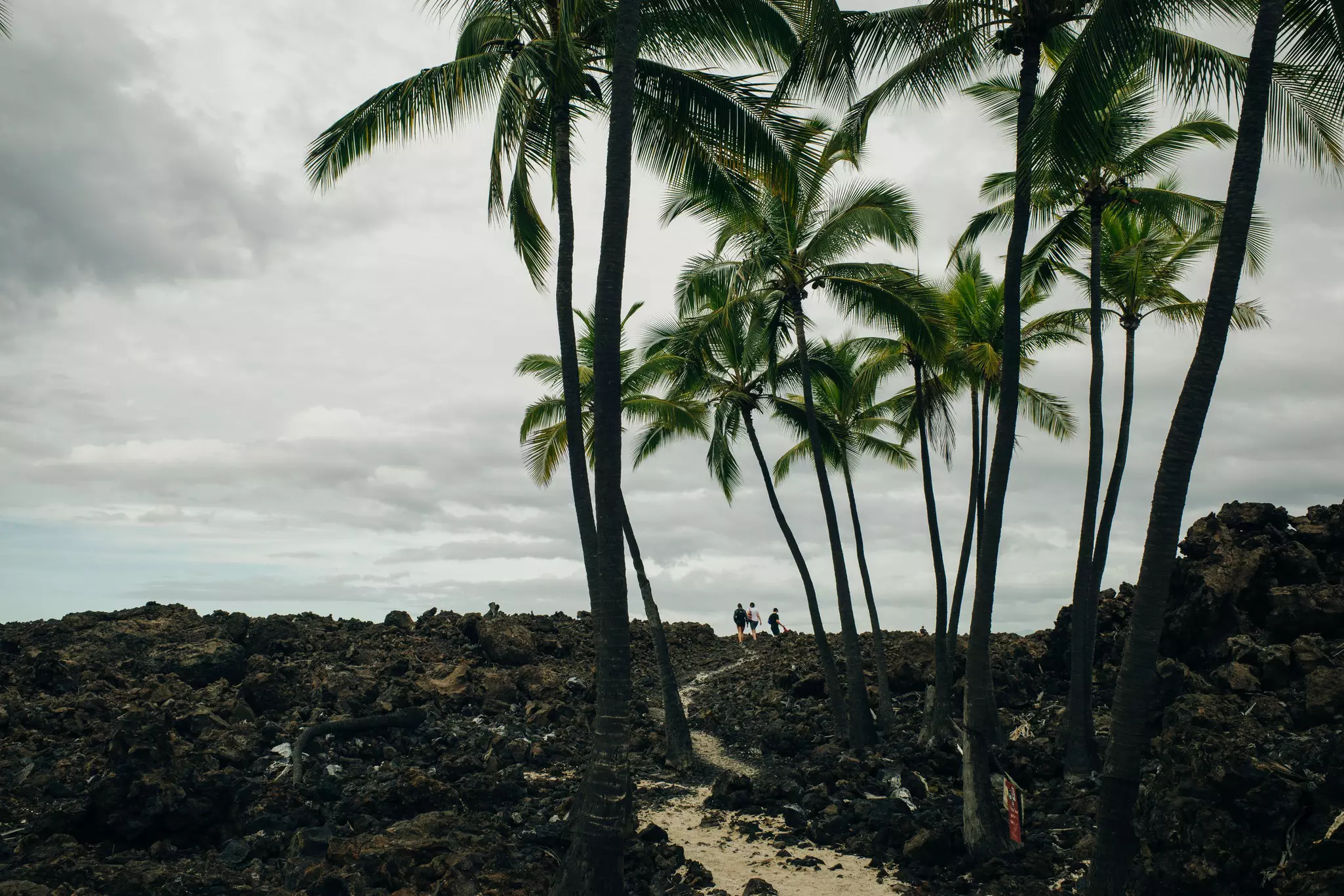 Palm trees border a sandy path surrounded by volcanic rocks. Three people are walking away in the distance on a cloudy day.