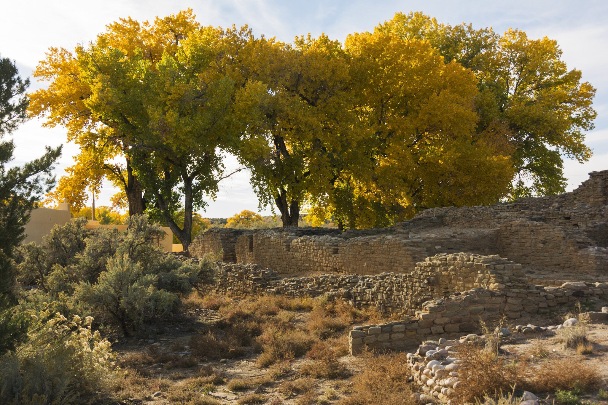 GettyImages-640815616.jpg
Aztec Ruins National Monument, ruins