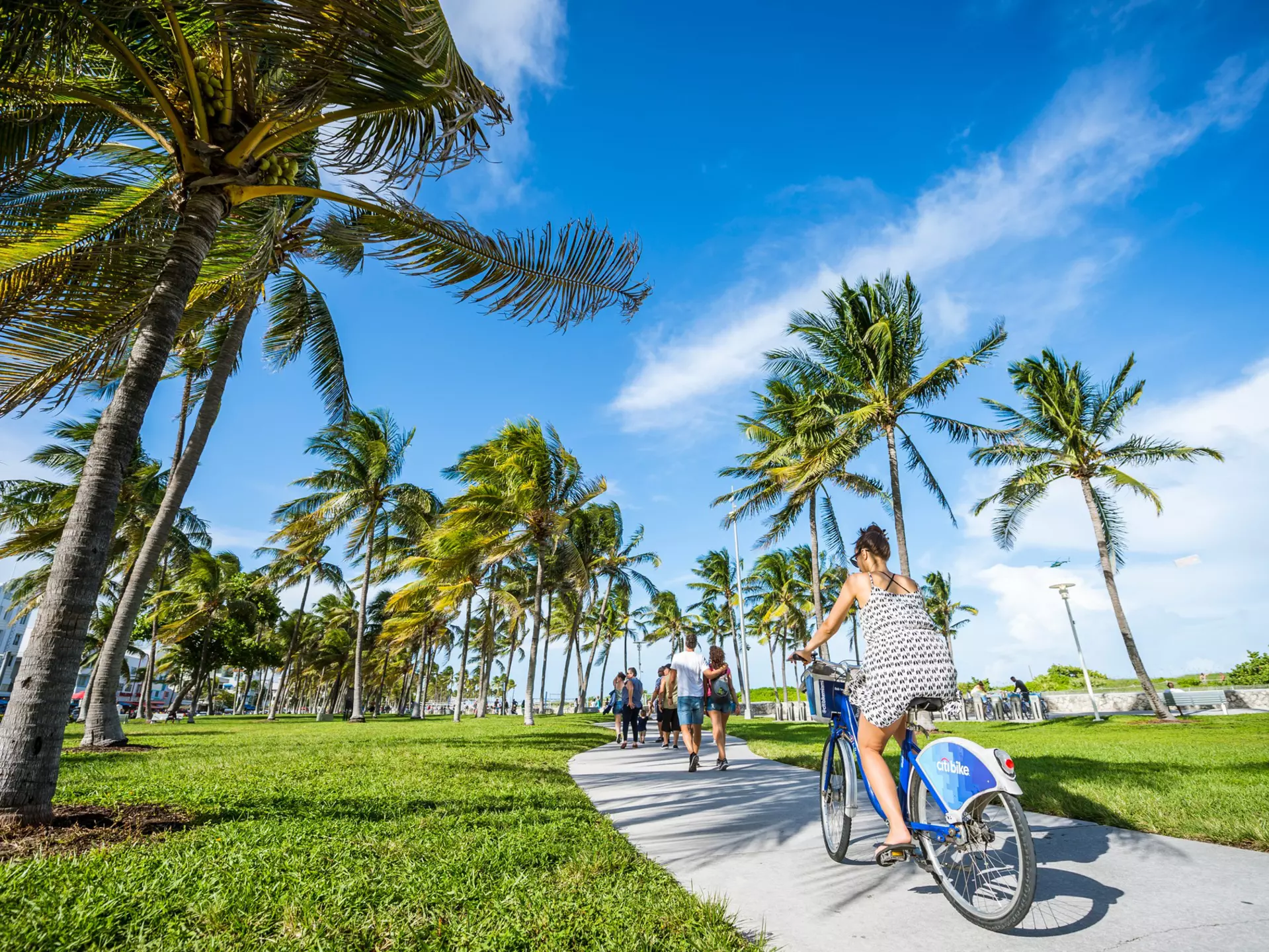 If you don't have far to travel, Citi Bikes can be a great way to see the sights in Miami while keeping costs down. lazyllama/Shutterstock
