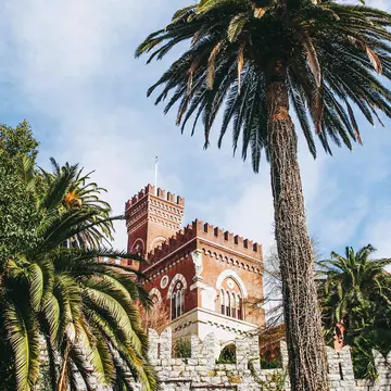 A castle turret is framed by palm trees and stone walls on a sunny day.