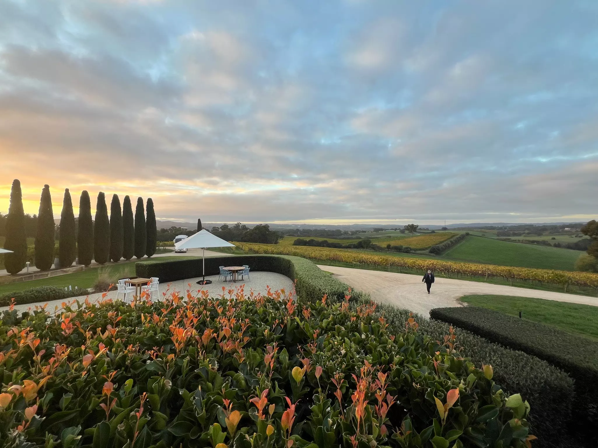 View from the tasting room at the Lane Vineyard in the Adelaide Hills, South Australia, one of the excursions on the Indian Pacific train