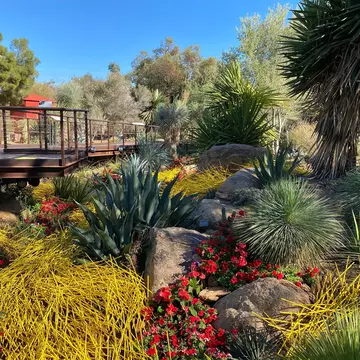 An installation view of the