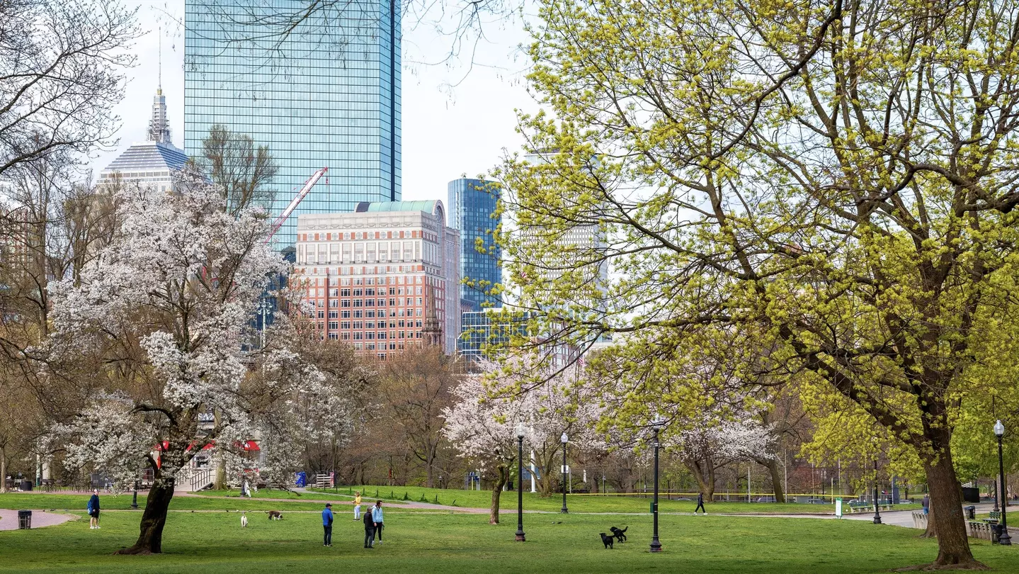 Boston Common in spring. Marcio Jose Bastos Silva/Shutterstock