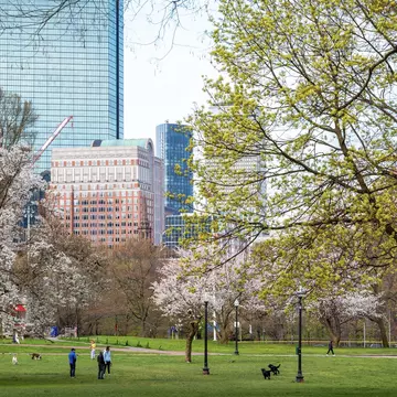 Boston Common in spring. Marcio Jose Bastos Silva/Shutterstock