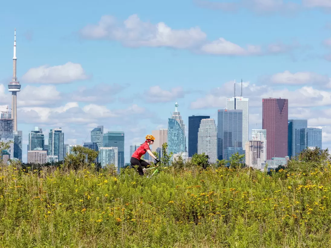 Cycling in front of the skyline from Tommy Thompson Park in Toronto Ontario Canada.