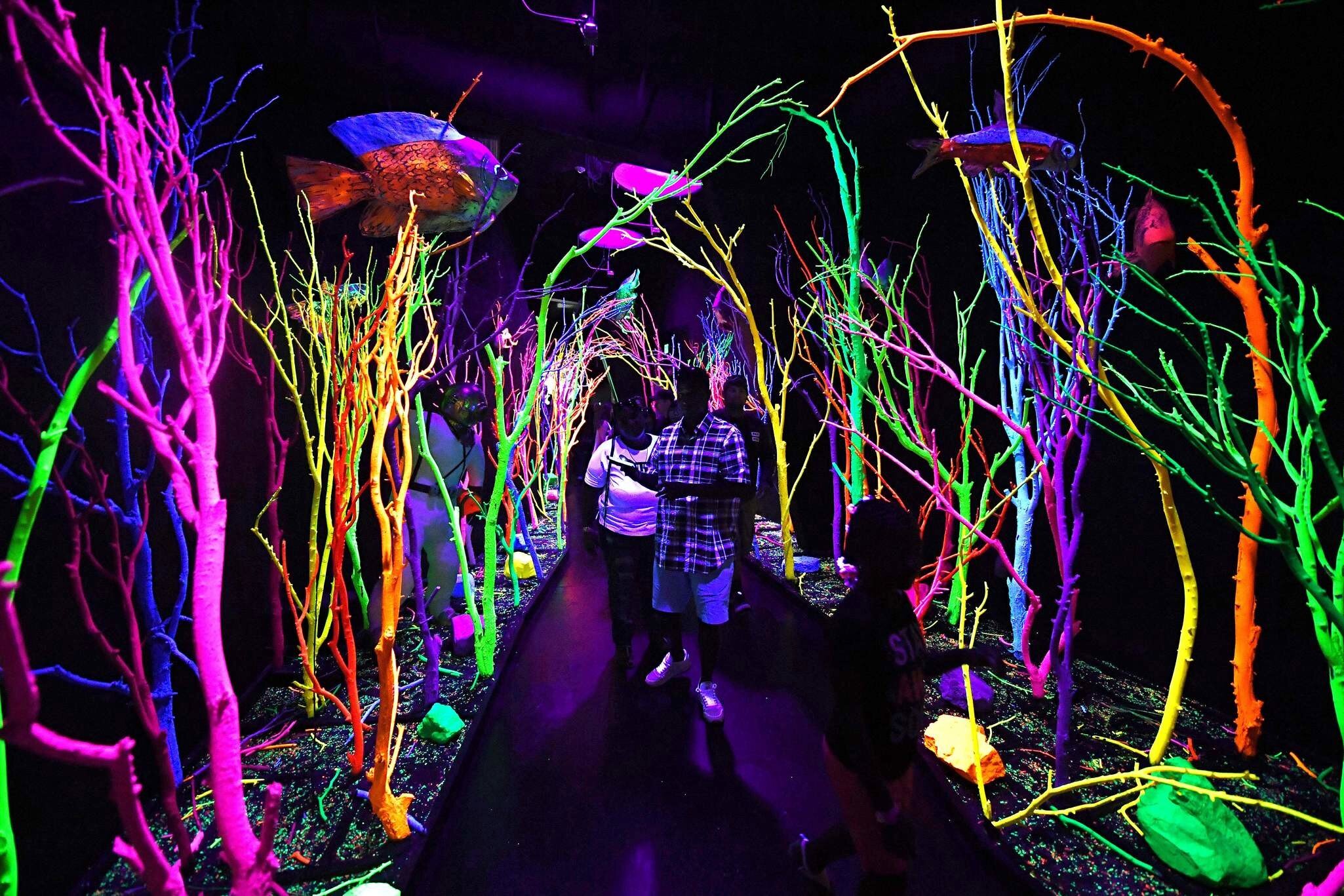 The Meow Wolf in Santa Fe, New Mexico.