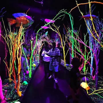 The Meow Wolf in Santa Fe, New Mexico.