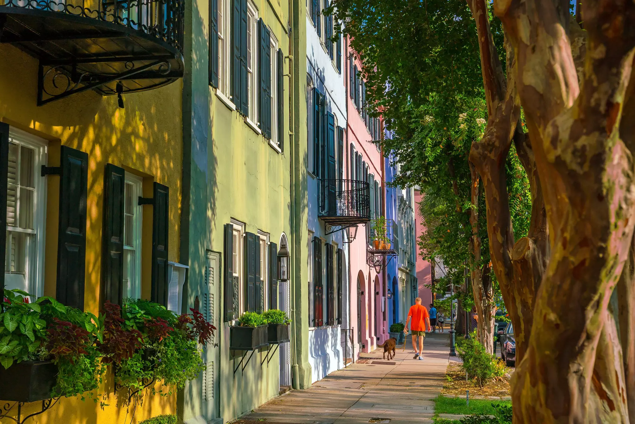 As you take in Charleston’s historic charm, consider the city’s deep entanglement with the international trade in enslaved people © f11photo / Shutterstock