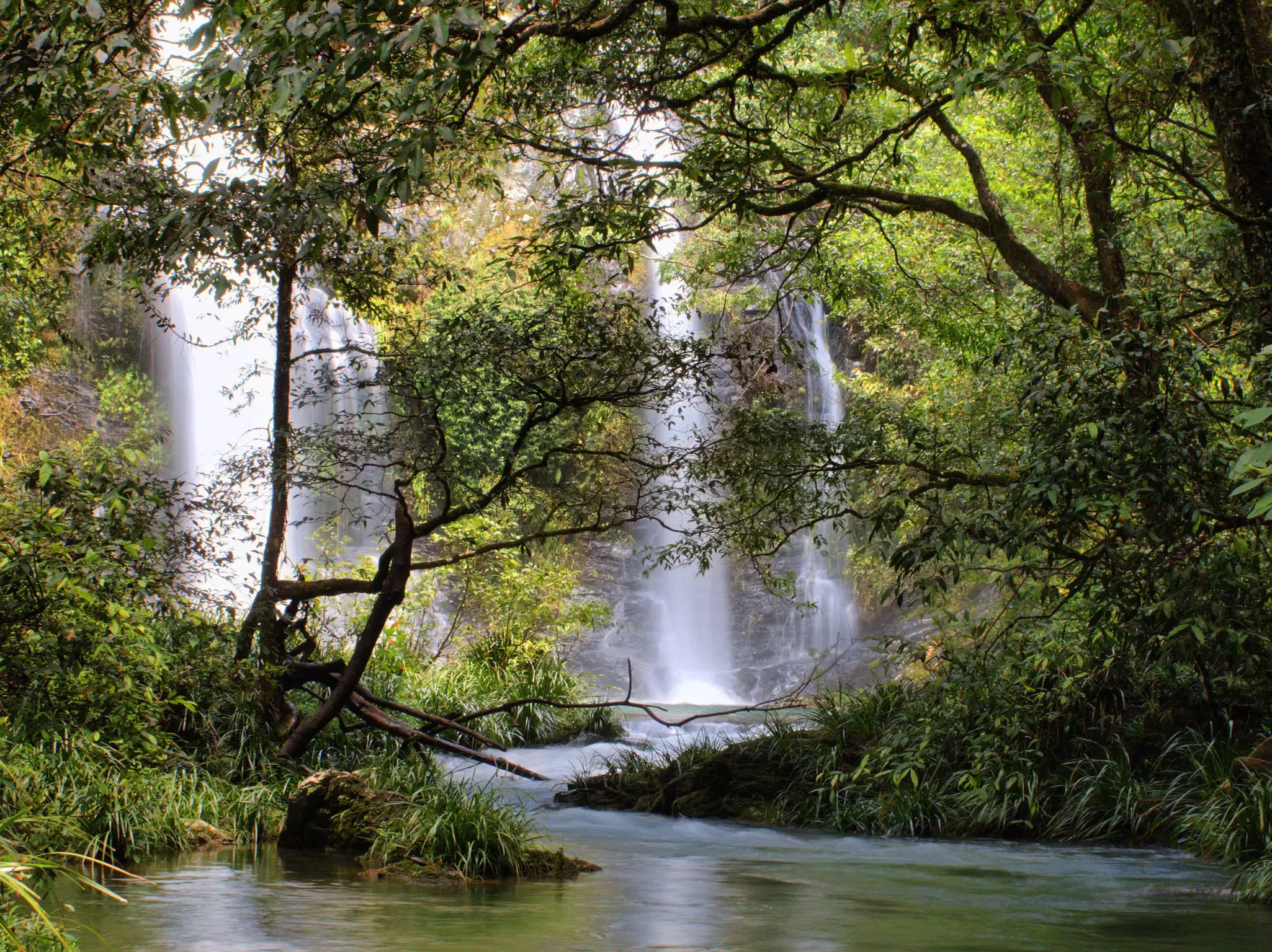 View of Cassowary Falls surrounded by greenery in the Daintree area, North Queensland, Australia.