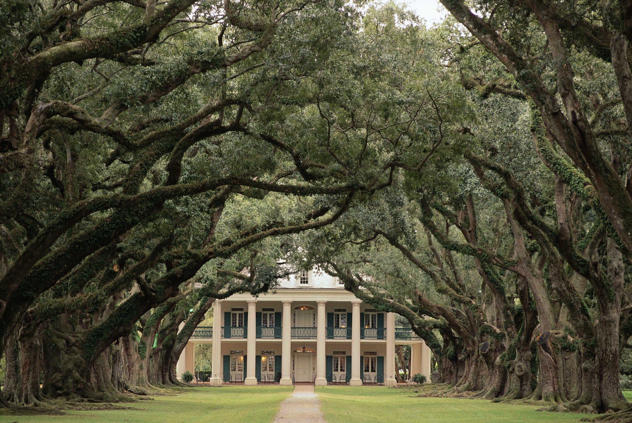 The oak-lined alley at Oak Alley Plantation in Louisiana