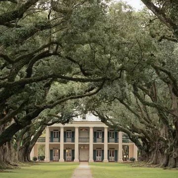 The oak-lined alley at Oak Alley Plantation in Louisiana