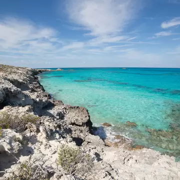 A low eroded limestone shoreline with scrub, dropping to brilliant turquoise shallows patched with dark reef.