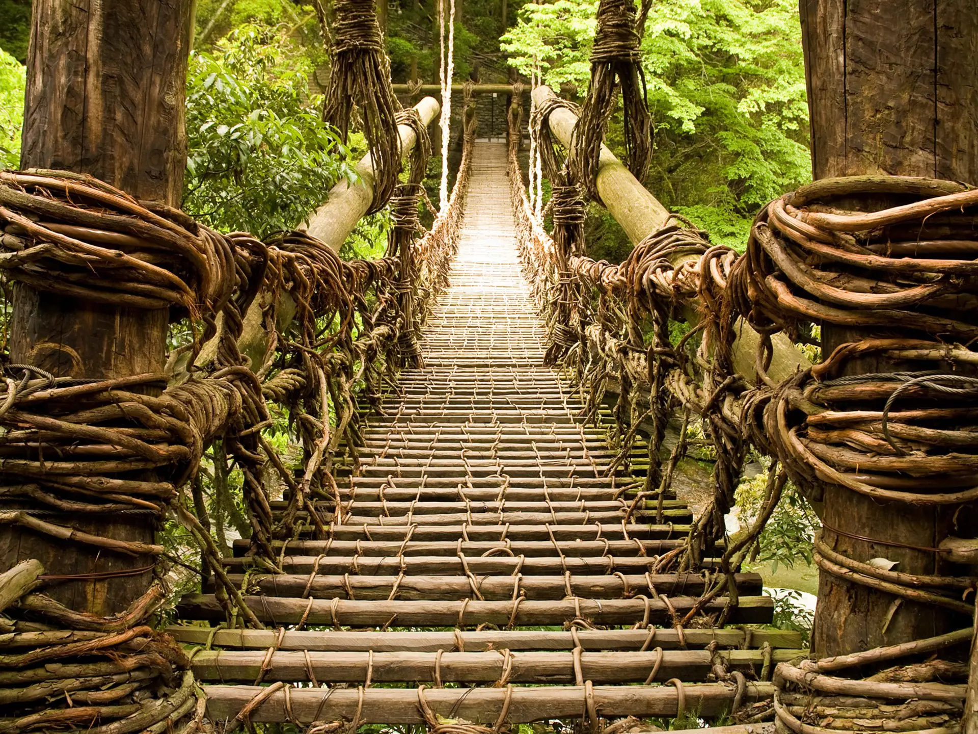 The Kazura bridge made of vines spans a river tumbling over stones in a dense forest in the Iya Valley that inspired Studio Ghibli's Princes Mononoke. stockstudioX / Getty Images